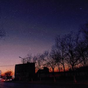 人与猪交配视频
