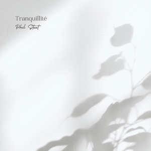 人与猪交配视频
