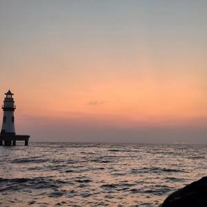 人与猪交配视频
